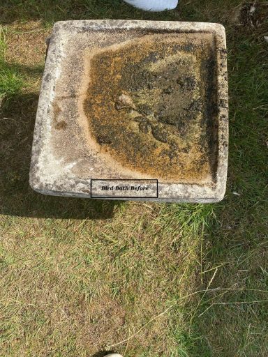 Bird Bath Before